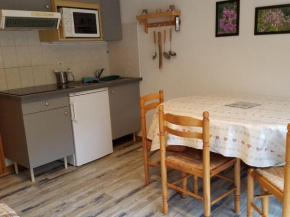 Charmant 2 pièces à Châtel, proche remontées, balcon sud/est, tout équipé, 5 pers. - FR-1-676-85